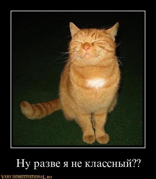 классный.jpg