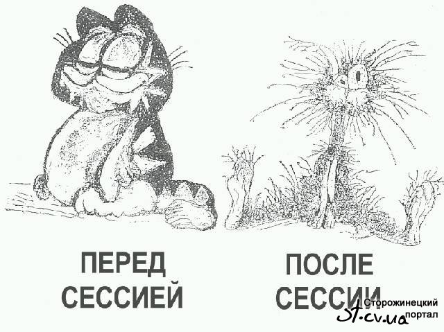 4f20a1f54a7e1.jpg