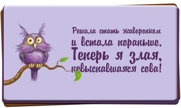 96078243_large_10.jpg