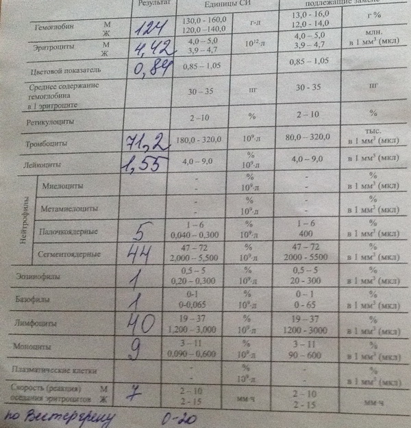 оак1.jpg
