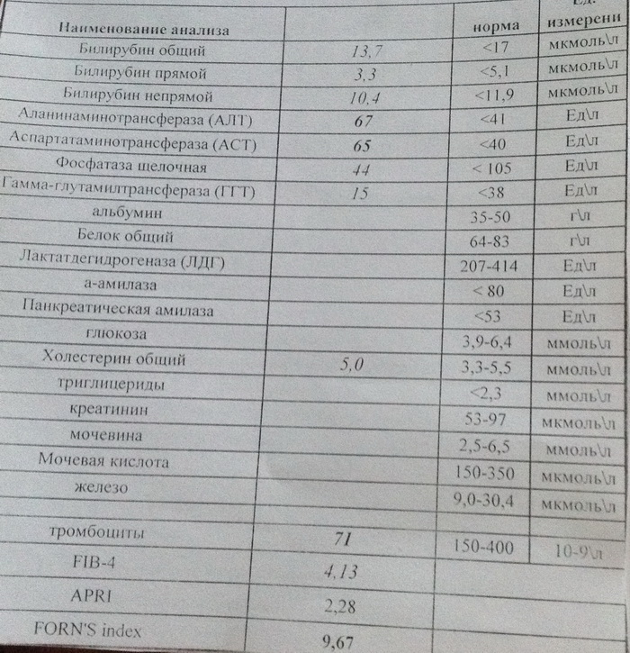 бх1.jpg