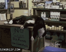 04014d.gif