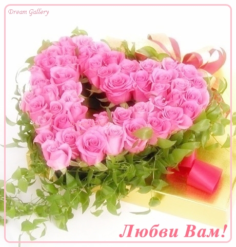 83570988_3303834_love.jpg