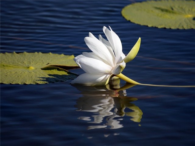 93d7aaeb05a6.jpg