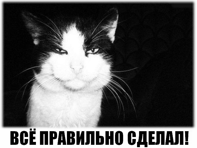 все правильно.jpg