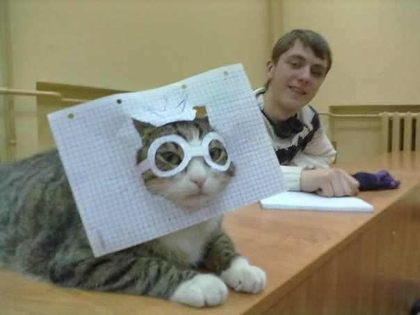 кот интеллигент.jpg