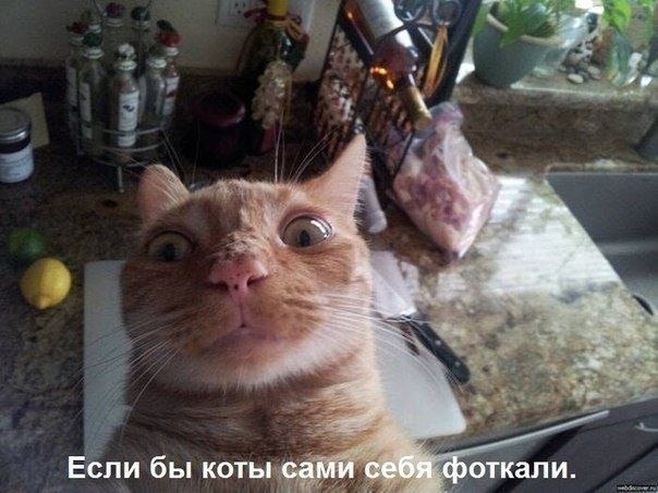HEh-gtymSwE.jpg