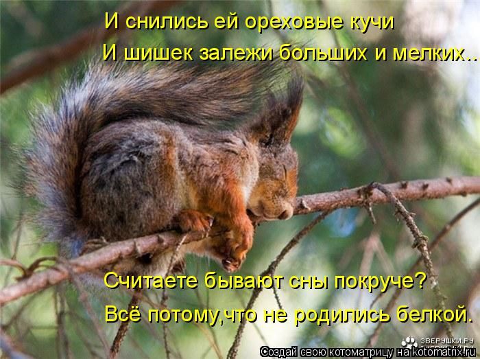 1391408915_kotomatrix_18.jpg