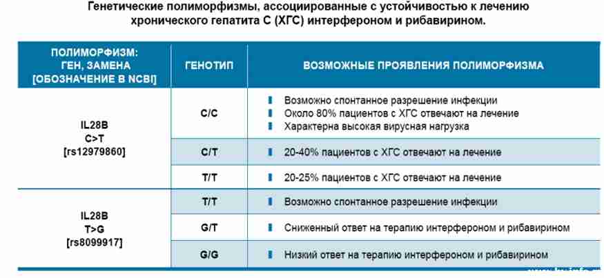 схема.jpg
