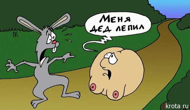 колобочек.jpg