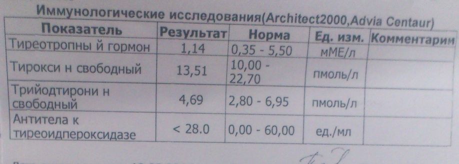 19.02.jpg