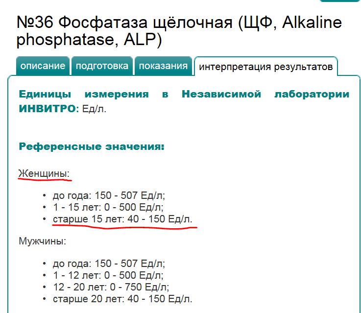 15.JPG