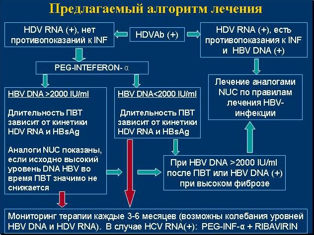 b3b06e2ac4a8.jpg
