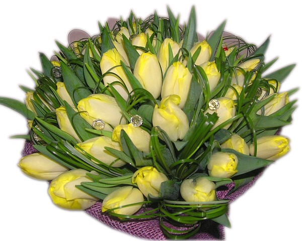 image.jpg