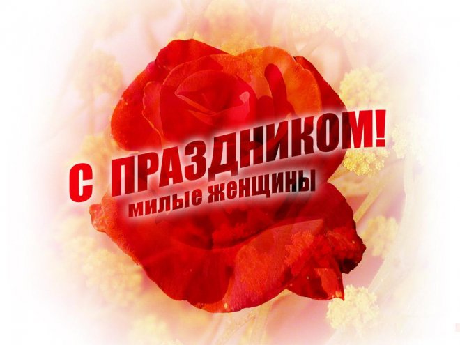 1267865447_1204951265_cric_8.jpg