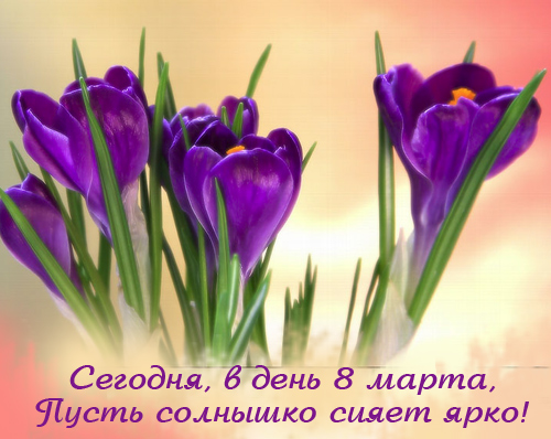8_m_43.jpg
