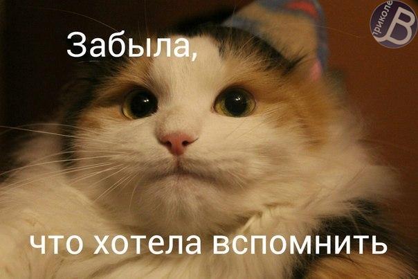 0L8Fxt4LUJY.jpg