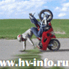 69241_prev_98.gif