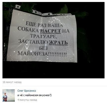 zoAK4SowEQk.jpg