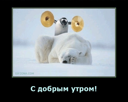110282265_013.gif