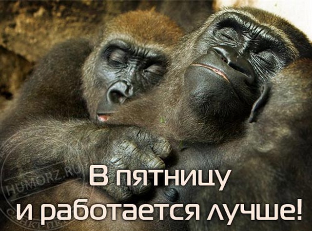 1268917242_10ac1b0a09ddb6b6f4dd0a6b50ed4c62.jpg