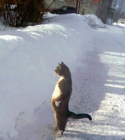не вижу.jpg