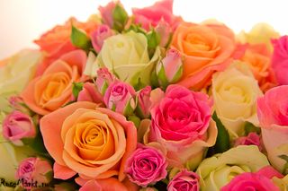 Roses-Nezhno-Full-RoseMarkt-3.jpg