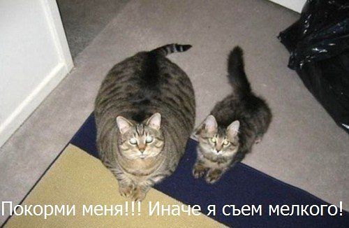 iuotgggggggkk.jpeg