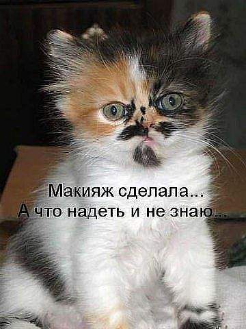 парооооорл.jpeg