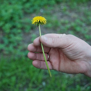 hf542.JPG