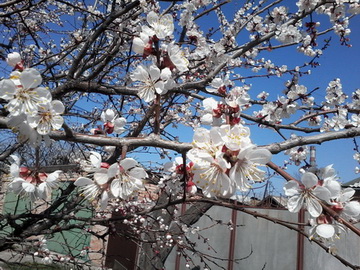 20140403_114722.jpg