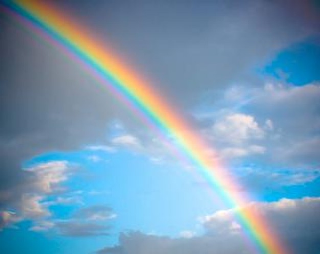 rainbow--background_19-121519.jpg