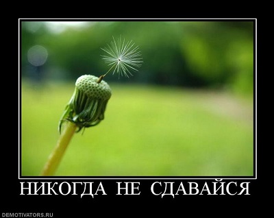 nikogda-ne-sdavajsya.jpg