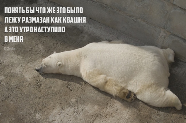 мои ощущения.jpg