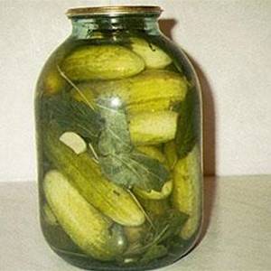 pic2.jpg