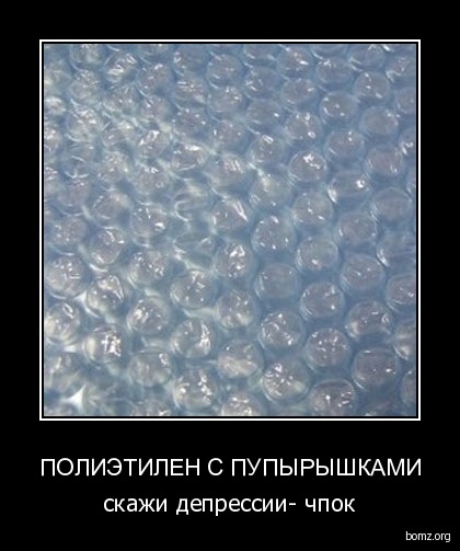 x_2a190360.jpg
