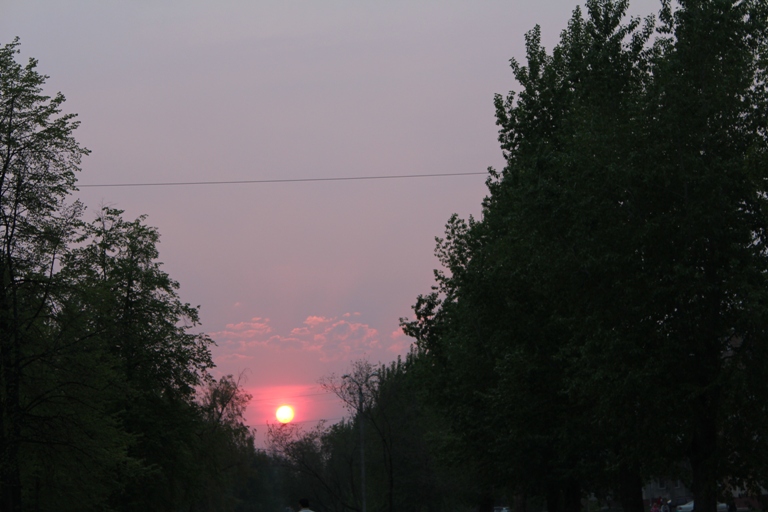 IMG_4881.JPG