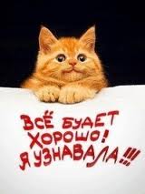 images5.jpg