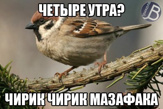 29nOEapN_kA.jpg