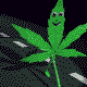 24.gif
