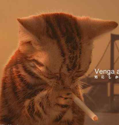 1172760787_all4cat_20.jpg