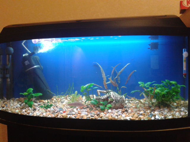 20140611_232140.jpg