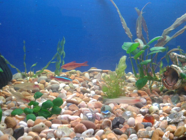 20140611_232324.jpg