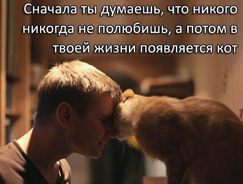 getImage (90).jpg