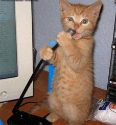 котя.gif