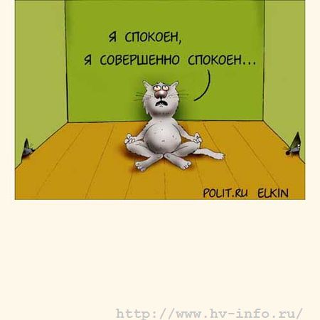 питон).jpg