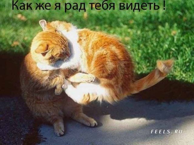 nXiHxYU0.jpg