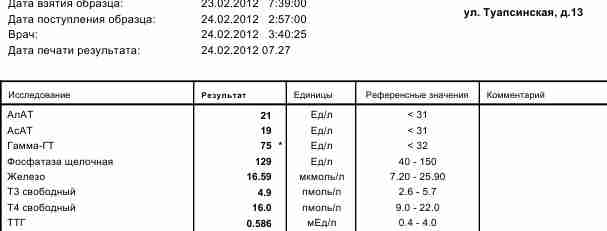 12 НЕДЕЛЬ