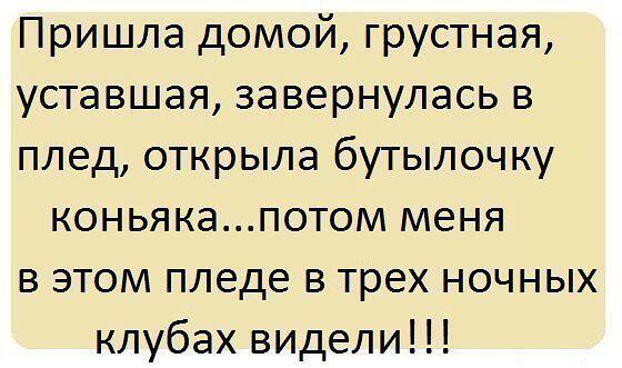 file-84.jpeg