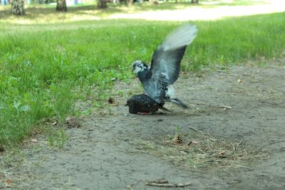 IMG_5887.JPG